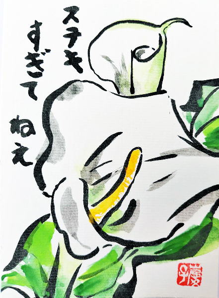 11 「カラー」H 草村慶子 11 「カラー」H 草村慶子