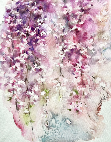 19 「枝垂れ桜」F6 山口栄美 19 「枝垂れ桜」F6 山口栄美