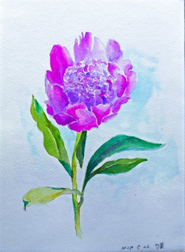 58 「芍薬」F4 齋藤眞澄 58 「芍薬」F4 齋藤眞澄