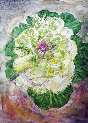 95「花キャベツ」A4 河原公治 95「花キャベツ」A4 河原公治