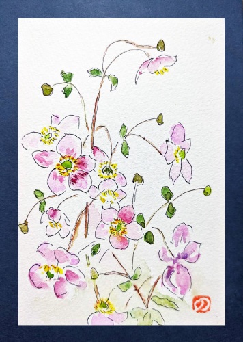 127「秋明菊」 齋 典子 127「秋明菊」 齋 典子