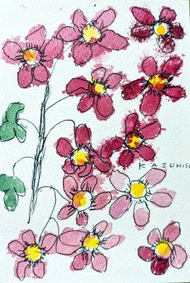 167 「秋名菊」 角田 和久 167 「秋名菊」 角田 和久