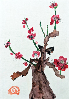 185 「紅 梅」 杉浦 徳子 185 「紅 梅」 杉浦 徳子