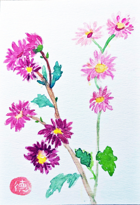 191 「 菊 」 杉浦 徳子 191 「 菊 」 杉浦 徳子