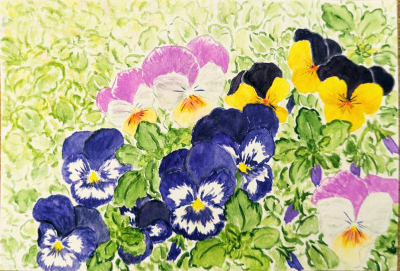 195 「ビオラ」 山田 修子 195 「ビオラ」 山田 修子