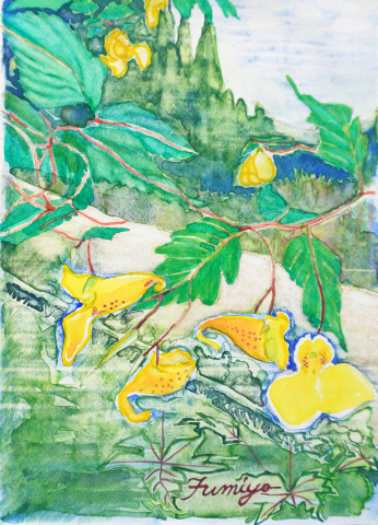 34 「黄釣船草」F4　藤井ふみよ