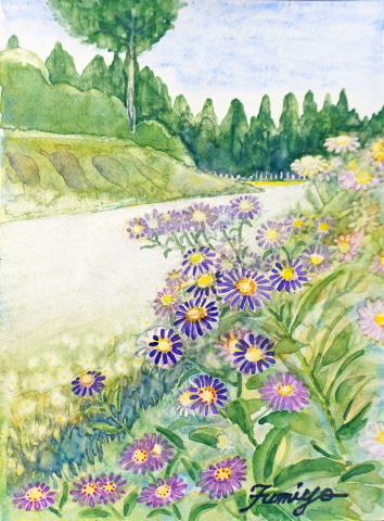 35 「野紺菊」F4　藤井ふみよ