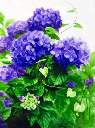 「紫陽花と蔓草」F4　若井茂雄