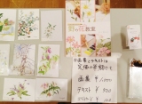 テキスト「野の花教室」藤井ふみよ著とポストカード
